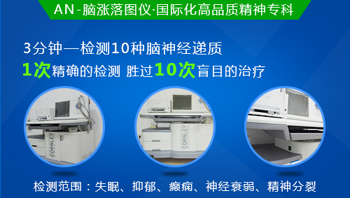 AN脑涨落图仪